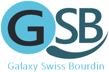 logo GSB
